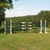 Platinum Jumps Bundle/3 Double Band Colored 10ft Cut Rails Hunter Green view 2