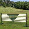 Platinum Jumps Set/6-10ft V Design Round Rails Light Green view 2
