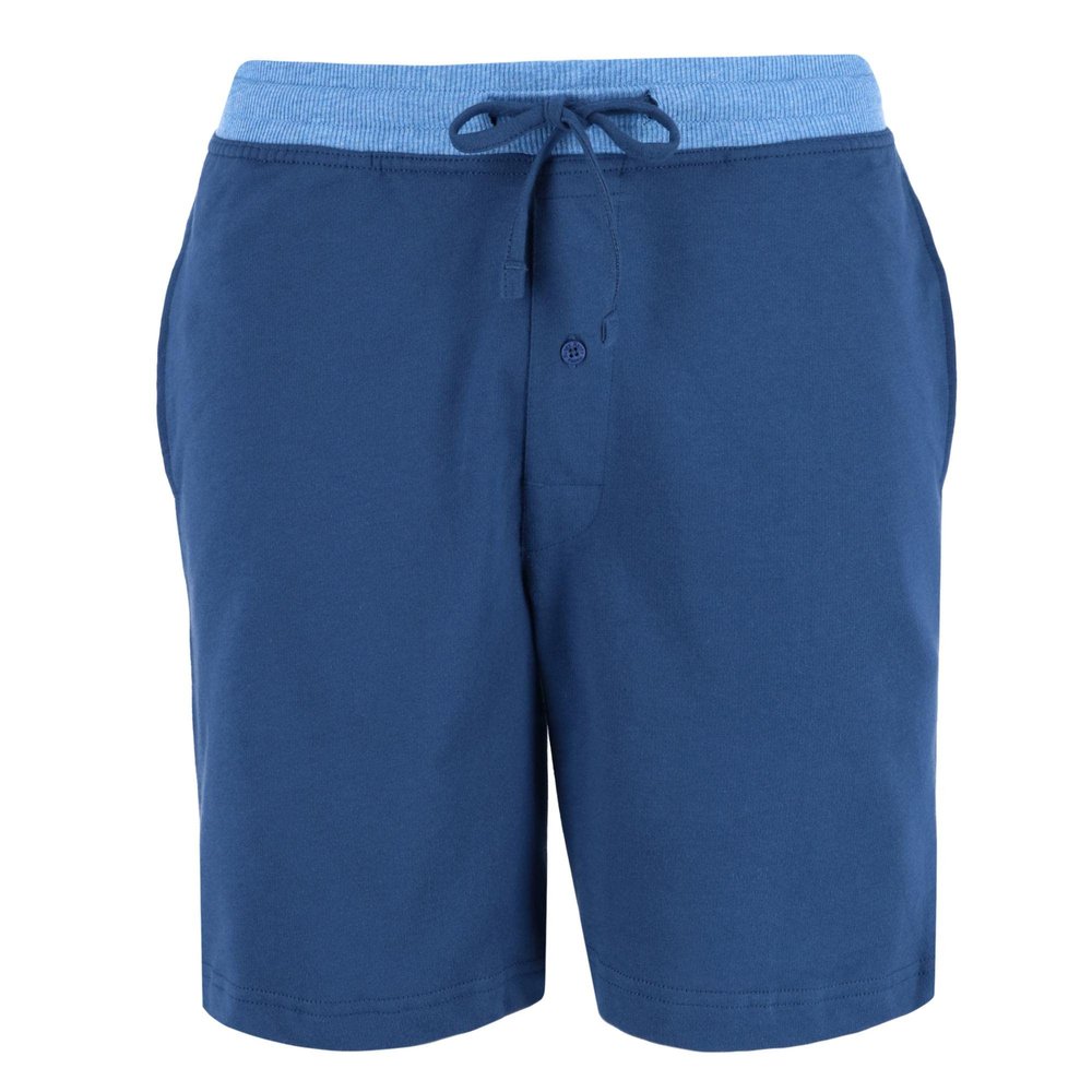 Hanes Men's French Terry Shorts, Small, Blue
