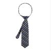 Calvin Klein GEMSTONE STRIPE ZIP TIE view 1