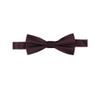 Calvin Klein UNISON SOLID PT BOWTIE view 1