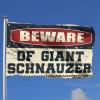 Bar Accessories Man Cave Beware Of Giant Schnauzer Flag Gym Flag College Posters For Guys (Size : 152X244CM) view 2