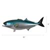 MAKO Atlantic Bluefish Half Sided Fiberglass Fish Mount (33 inch) view 2