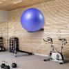 XIAO PEI Medicine Ball Rack - Wall Mount Stability Ball Storage Rack(1 Black) view 2