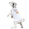 Funny Corgi Dog Sundress - Unique Design Dog Dress Shirt - Cartoon Dog Clothing - White, L view 3