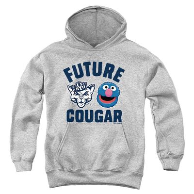 BYU Cougars Sesame Street Grover Official Future Cougar Youth Kids Boy/Girls Pull-Over Hoodie,Athletic Heather, X-Large
