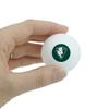 Williston State College Primary Logo Novelty Table Tennis Ping Pong Ball 3 Pack view 2