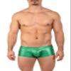 Gary Majdell Sport Mens New Printed Hot Body Boxer Swimsuit (Emerald Hologram, X-Large) view 1