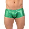 Gary Majdell Sport Mens New Printed Hot Body Boxer Swimsuit (Emerald Hologram, X-Large) view 2