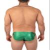 Gary Majdell Sport Mens Print Contour Pouch Greek Bikini Swimsuit (Emerald Hologram, X-Large) view 4