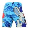 Roar Kids Mixed Martial Arts MMA Shorts BJJ Cross Training Gym Boxing Grappling Kickboxing Muay Thai Workout Shorts (Y-Large, SkyBlue) view 3