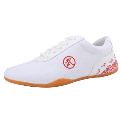 Chinese Wushu Shoes Kungfu Martial ShoesIdeal for Taekwondo, Karate and Any Martial Art.White40