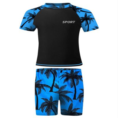 Hedmy Boys' Rashguard Set UPF 50+ 2 Piece Swimsuit Short Sleeve Swim Shirt and Trunks Swimsuit Set for Kids Blue 8-10 Years