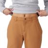 Mountain Hardwear Women's Jackson Ridge Pant, Copper Clay, 16 x Regular view 4