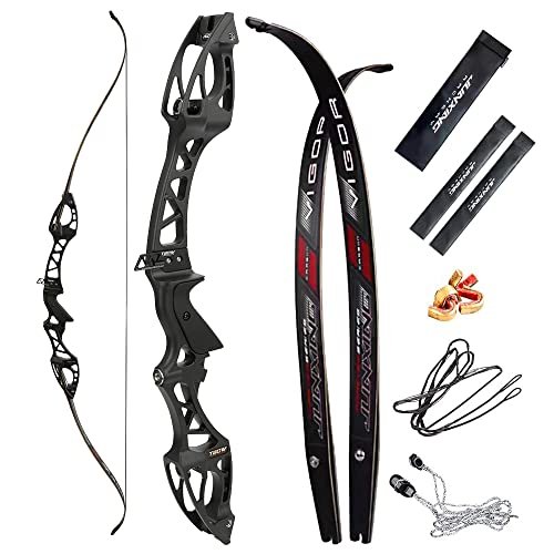 68 Inch Takedown Recurve Bow 20-40 Lbs F Interface Bow Riser and Limbs Aluminum Competition Athletic Bow for RH Hunting Shooting (28 Lbs, Black)