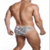 Alexx Underwear Iron Animal Print Bikini (as1, alpha, l, regular, regular, Print Zebra) view 3