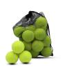 Swingers 20 Pack Tennis Balls,Training Exercise Balls for Pet Dog, High Elasticity Practice Tennis Balls for Beginner, with Mesh Carry Bag Easy to Transport (Yellow) view 1