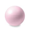 WJIHUYU Exercise Ball, Anti-Burst & Non-Slip Yoga Ball Stability Ball Chair for- Pregnancy, Birthing Therapy Balance Workout at Home-Quick Pump Included and Pilates Small Ball view 1