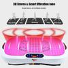 HAIZON 3D Vibration Plate Exercise Machine - Pulsation 3D Motion Vibration Platform - Full Whole Body Vibration Machine for Home Fitness view 3