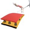 High Jump Springboard Heavy Duty & Large Wood Gymnastics Wushu Training Elastic Board for Adults, with Anti-Slip Felt & Feet Pads, Load 242lbs ( Color : B , Size : 60x120cm/23.6"x47.2" 9 Springs ) view 1