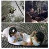 Climbing Cargo Net 5mm Thick 5cm mesh Durable Climbing Cargo net Double Layers Playground Net Polyester Double Layers Cargo Net Climbing Outdoor Rope Bridge Net (Size : 3X4.5m) view 3