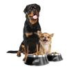 Littlearth NFL All Pro Pet Bowl, Philadelphia Eagles, Large view 2