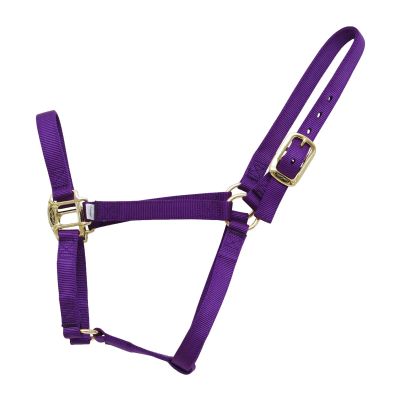Reinsman Classic Nylon Halter (9709) | Durable Double-Ply 1-Inch Nylon Halter with Adjustable Buckle at Crown & Resistant Hardware | Horse Tack for Everyday Riding, Purple, Horse