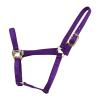 Reinsman Classic Nylon Halter (9709) | Durable Double-Ply 1-Inch Nylon Halter with Adjustable Buckle at Crown & Resistant Hardware | Horse Tack for Everyday Riding, Purple, Horse view 1