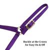 Reinsman Classic Nylon Halter (9709) | Durable Double-Ply 1-Inch Nylon Halter with Adjustable Buckle at Crown & Resistant Hardware | Horse Tack for Everyday Riding, Purple, Horse view 2