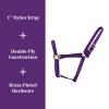 Reinsman Classic Nylon Halter (9709) | Durable Double-Ply 1-Inch Nylon Halter with Adjustable Buckle at Crown & Resistant Hardware | Horse Tack for Everyday Riding, Purple, Horse view 3