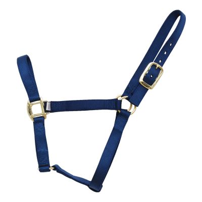 Reinsman Classic Nylon Halter (9709) | Durable Double-Ply 1-Inch Nylon Halter with Adjustable Buckle at Crown & Resistant Hardware | Horse Tack for Everyday Riding, Navy, Small Horse