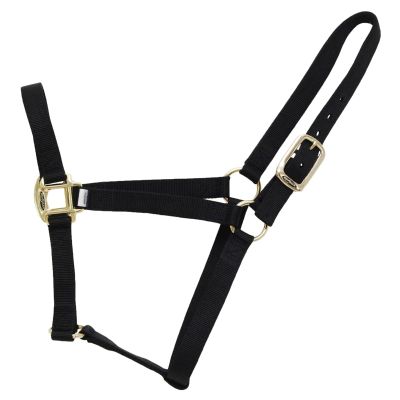 Reinsman Classic Nylon Halter (9709) | Durable Double-Ply 1-Inch Nylon Halter with Adjustable Buckle at Crown & Resistant Hardware | Horse Tack for Everyday Riding, Black, Small Horse