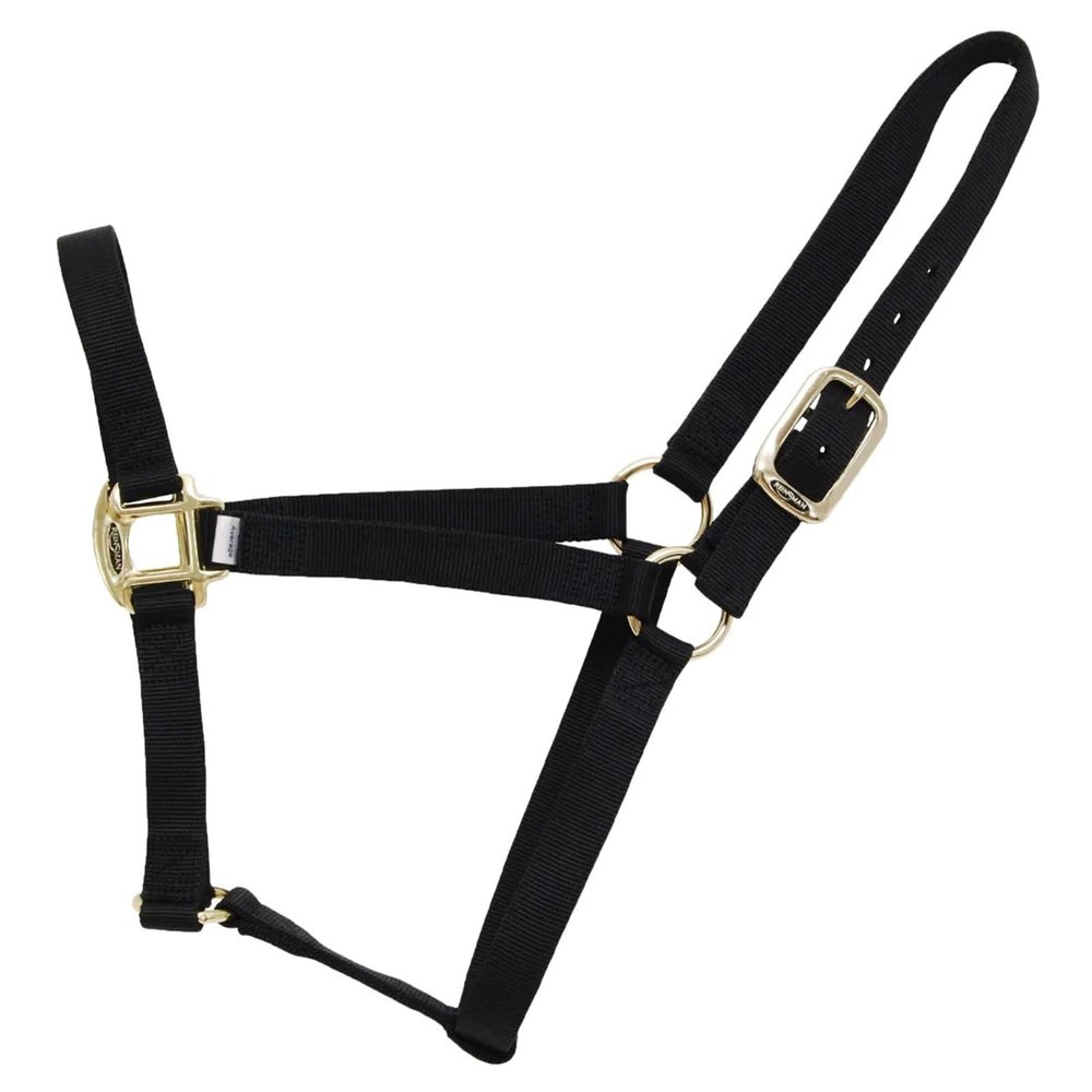 Reinsman Classic Nylon Halter (9709) | Durable Double-Ply 1-Inch Nylon Halter with Adjustable Buckle at Crown & Resistant Hardware | Horse Tack for Everyday Riding, Black, Small Horse