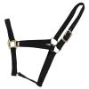 Reinsman Classic Nylon Halter (9709) | Durable Double-Ply 1-Inch Nylon Halter with Adjustable Buckle at Crown & Resistant Hardware | Horse Tack for Everyday Riding, Black, Small Horse view 1