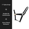 Reinsman Classic Nylon Halter (9709) | Durable Double-Ply 1-Inch Nylon Halter with Adjustable Buckle at Crown & Resistant Hardware | Horse Tack for Everyday Riding, Black, Small Horse view 3