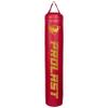PROLAST Heavy Punching Kicking Bag for Adults, Boxing, MMA, Martial Arts, Muay Thai, Strength Training Equipment, Filled, 6ft, 150 lbs, Vertical Logo, Red Gold