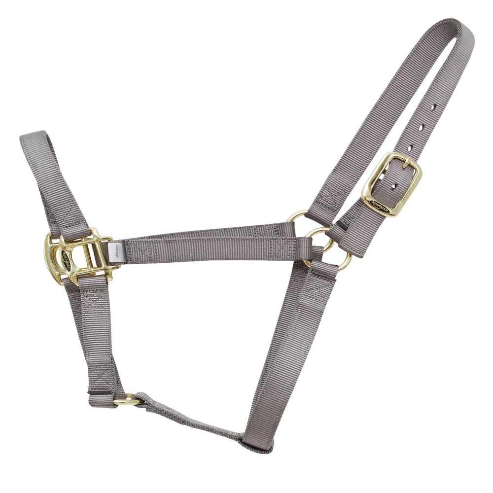 Reinsman Classic Nylon Halter (9709) | Durable Double-Ply 1-Inch Nylon Halter with Adjustable Buckle at Crown & Resistant Hardware | Horse Tack for Everyday Riding, Graphite Gray, Small Horse