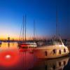 Apollo Underwater LED Lighting System, Underwater Dock Light, Fish Light (Red, 40 Foot Power Cord) view 3
