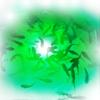 Apollo Iris Underwater LED Lighting System, Underwater Dock Light, Fish Light, 16000 Lumens (Green/White (Center/Outer), 120 Foot Power Cord) view 4