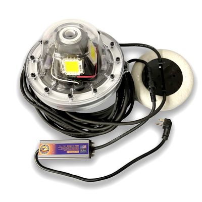 Apollo Underwater LED Lighting System, Underwater Dock Light, Fish Light (White, 120 Foot Power Cord)