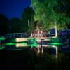 Apollo Underwater LED Lighting System, Underwater Dock Light, Fish Light (Green, 120 Foot Power Cord) view 4