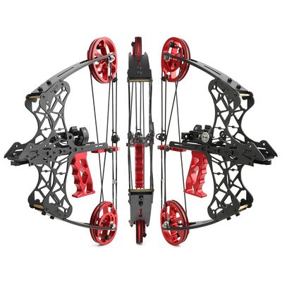 Archery Compound Bow 35 Lbs Dual-Purpose Compound Bow Steel Ball Compound Bow Kit Right and Left Handed Bow for Outdoor Hunting Shooting Fishing (Set 1)