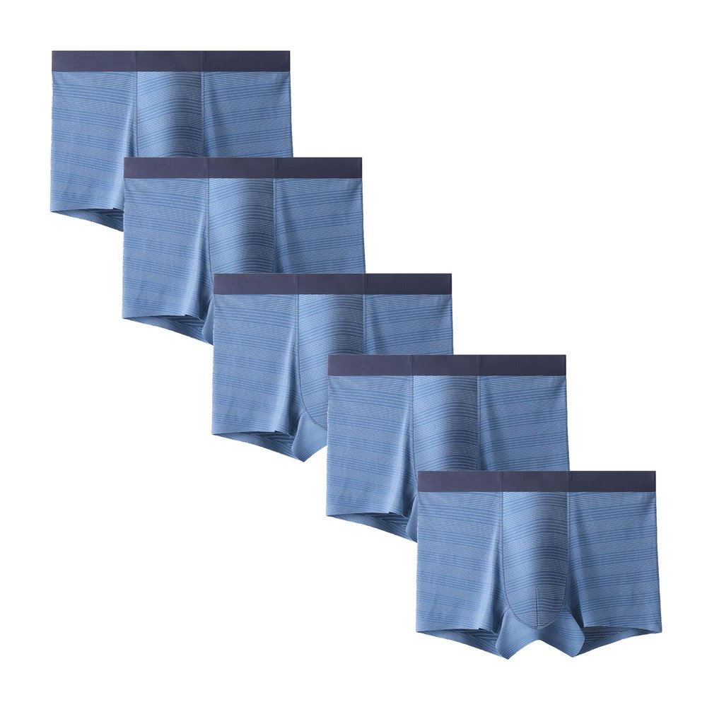 DGKaxiyaHM Men's Seamless Modal Underpants - Fashion Quick-Drying & Breathable (Blue-5PC,Large)