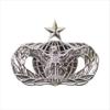 Genuine US Badge: Force Protection: Senior - MIDSIZE view 1