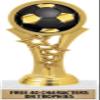 Crown Awards 5.5" Soccer Gold Starbeam Trophy, 50 Pack Prime view 1