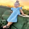 AGQT Little Girls Plaid Dress Gingham Fly Sleeve Backless Summer Dresses Spring Smocked Birthday Easter Dresses Sky Blue Size 4-5T view 3