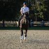 Equinavia Haakon Mens Equestrian Short Sleeved Breathable Show Shirt - White - XL view 2