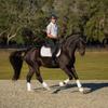 Equinavia Haakon Mens Equestrian Short Sleeved Breathable Show Shirt - White - XL view 3