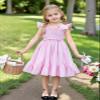 AGQT Toddler Girls Summer Ruffle Dress Sleeveless Flower Girls Birthday Party Dress Solid Pink Size 3-4T view 2