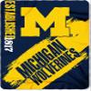 Boelter Brands Licensed NCAA Collegiate Fan Bundle includes Water Bottle and Fleece Blanket (Michigan Wolverines) view 2